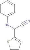 Phenylamino-thiophen-2-yl-acetonitrile