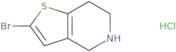 2-Bromo-4H,5H,6H,7H-thieno[3,2-c]pyridine hydrochloride