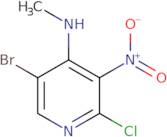 5-bromo-2-chloro-N-methyl-3-nitropyridin-4-amine