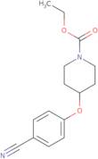 Ethyl 4-(4-cyanophenoxy)piperidine-1-carboxylate