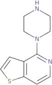 1-{Thieno[3,2-c]pyridin-4-yl}piperazine