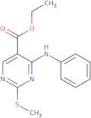 Ethyl 4-anilino-2-methylsulfanylpyrimidine-5-carboxylate