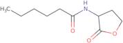 N-Hexanoyl-DL-homoserine lactone