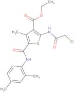 Ethyl 2-(2-chloroacetamido)-5-[(2,4-dimethylphenyl)carbamoyl]-4-methylthiophene-3-carboxylate