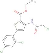 Ethyl 3-(2-chloroacetamido)-5-(2,4-dichlorophenyl)thiophene-2-carboxylate