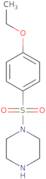 1-(4-Ethoxybenzenesulfonyl)piperazine