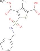 5-(Benzylsulfamoyl)-4-(methoxycarbonyl)-3-methylthiophene-2-carboxylic acid