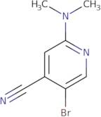 5-Bromo-2-(dimethylamino)isonicotinonitrile