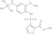 Methyl 3-[[4-(tert-butylamino)-2-methoxyphenyl]sulfamoyl]thiophene-2-carboxylate