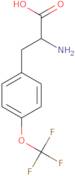 o-(Trifluoromethyl)-L-tyrosine