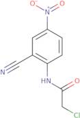 2-Chloro-N-(2-cyano-4-nitrophenyl)acetamide