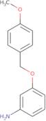 3-(4-Methoxy-benzyloxy)-phenylamine