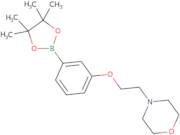 3-(2-Morpholinoethoxy)phenylboronic acid pinacol ester