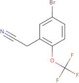 2-[5-Bromo-2-(trifluoromethoxy)phenyl]acetonitrile
