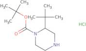 1-Boc-2-tert-Butylpiperazine hydrochloride