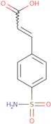 (2E)-3-(4-Sulfamoylphenyl)prop-2-enoic acid