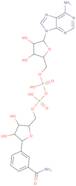 Benzamide adenine dinucleotide