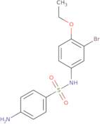 4-Amino-N-(3-bromo-4-ethoxy-phenyl)-benzenesulfonamide