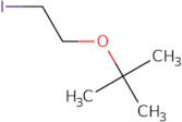 2-(2-Iodoethoxy)-2-methylpropane