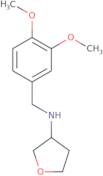 N-[(3,4-Dimethoxyphenyl)methyl]oxolan-3-amine