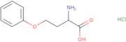 (2R)-2-Amino-4-phenoxybutanoic acid hydrochloride