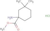 Methyl 1-amino-3,3-dimethylcyclohexane-1-carboxylate hydrochloride