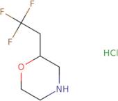 2-(2,2,2-Trifluoroethyl)morpholine hydrochloride