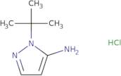 1-tert-Butyl-1H-pyrazol-5-amine hydrochloride