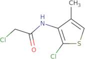 2-Chloro-N-(2-chloro-4-methylthiophen-3-yl)acetamide