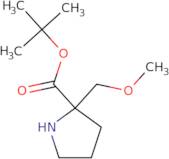 tert-Butyl 2-(methoxymethyl)pyrrolidine-2-carboxylate