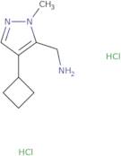 (4-Cyclobutyl-1-methyl-1H-pyrazol-5-yl)methanamine dihydrochloride