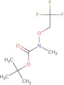 tert-Butyl N-methyl-N-(2,2,2-trifluoroethoxy)carbamate