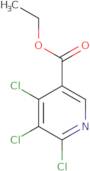 Ethyl 4,5,6-trichloronicotinate
