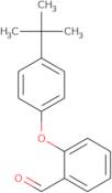 2-(4-tert-Butylphenoxy)benzaldehyde