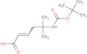 (2E)-5-(tert-Butyloxycarbonylamino)-5-methylhex-2-enoic acid