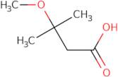 3-Methoxy-3-methylbutanoic acid