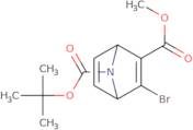 7-Tert-Butyl 2-Methyl 3-Bromo-7-Azabicyclo[2.2.1]Hepta-2,5-Diene-2,7-Dicarboxylate