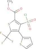 Methyl 3-chlorosulfonyl-4-thiophen-2-yl-5-(trifluoromethyl)thiophene-2-carboxylate