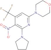 4-(5-Nitro-6-pyrrolidin-1-yl-4-trifluoromethyl-pyridin-2-yl)-morpholine