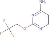 2-(2,2,2-Trifluoroethoxy)pyrimidin-4-amine