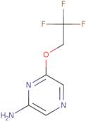 6-(2,2,2-Trifluoroethoxy)pyrazin-2-amine