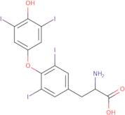 Thyroxine carboxy,α,β,1,2,3,4,5,6-13C9,15N