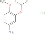 3-(Difluoromethoxy)-4-methoxyaniline hydrochloride