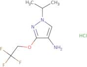 1-Isopropyl-3-(2,2,2-trifluoroethoxy)-1H-pyrazol-4-amine hydrochloride