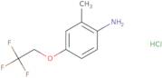 2-Methyl-4-(2,2,2-trifluoroethoxy)aniline hydrochloride