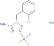 1-[(2-Chlorophenyl)methyl]-3-(trifluoromethyl)-1H-pyrazol-5-amine hydrochloride