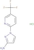 1-[5-(Trifluoromethyl)pyridin-2-yl]-1H-pyrazol-3-amine hydrochloride