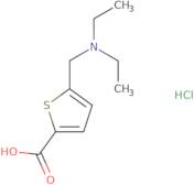 5-[(Diethylamino)methyl]thiophene-2-carboxylic acid hydrochloride