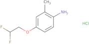 4-(2,2-Difluoroethoxy)-2-methylaniline hydrochloride