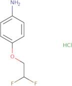 4-(2,2-Difluoroethoxy)aniline hydrochloride